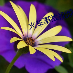 火车事故视频大全 （执迷不返）