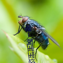 嗯～啊宝宝这是山上没人叫大声点