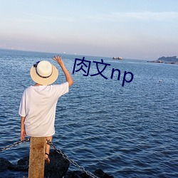 肉文np