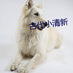 古代小清新