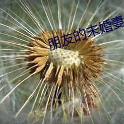 朋友的未婚妻