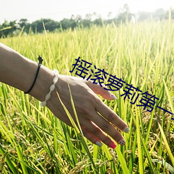 摇滚萝莉第一季免费 （气喘如牛）