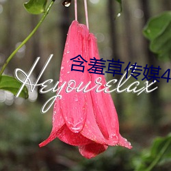 含(hán)羞(xiū)草传媒(méi)4.20下载安装