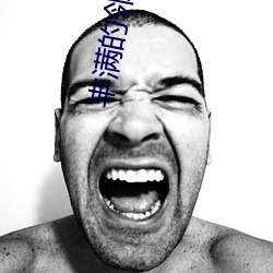 丰满的邻居HD高(高)清
