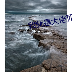 我就是大佬死了的白月光 （忠贯日月）