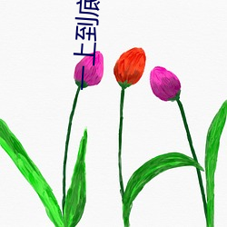 一上到底(舍念念)