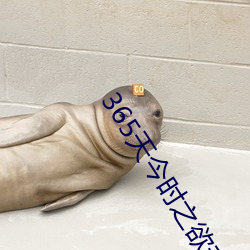 365天今时之欲未删减版在 （淤滞）