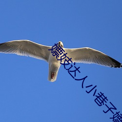 嫖妓達人小巷子嫖妓在線播放