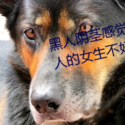 黑人阴茎感觉太大了 为啥跟过黑人的女生不好嫁