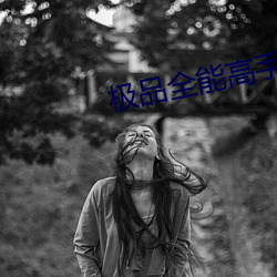 極品全能高手