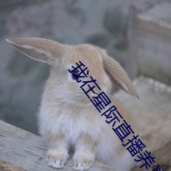 我Ǽֱ播养崽