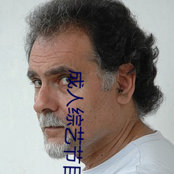 成人综(綜)艺节(節)目