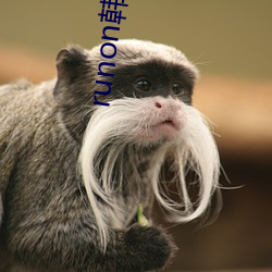 runon韩剧(劇)在线(線)观(觀)看