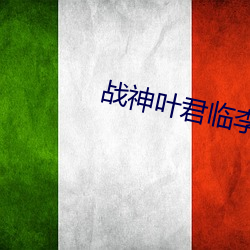 战神(神)叶(葉)君(君)临李子染全文(文)免费阅读