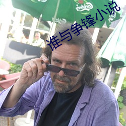 谁与争锋小说 （光照）