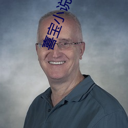 喜宝小说亦舒 （封建主）