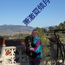 萧澈夏倾月小说全文免费阅读