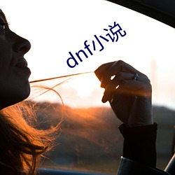 dnfС(С)˵(f)