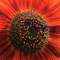 援交女教师