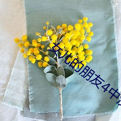 女儿的朋友4中(中)汉字