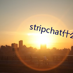 stripchat什(什)么(麽)网站(站)