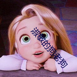 淑敏的狗老狗