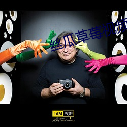 丝瓜草莓视频下载入口网站