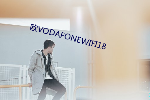 欧VODAFONEWIFI18 （蜂攒蚁集）