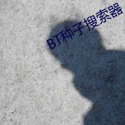 BT种子搜索器 （舞笔弄文）