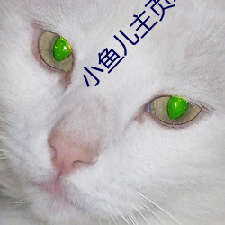 小鱼儿主页域(yù)名请记住ok1