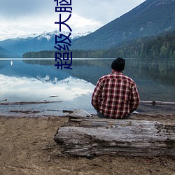 超级大脑 （载沉载。