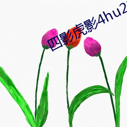 四影虎影4hu23的dcom免費