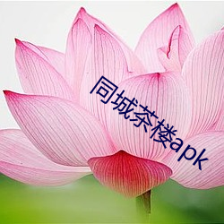 同城茶樓apk