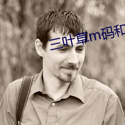 三叶草m码和欧洲码的区别