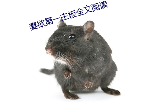 妻欲第一主板全文阅读