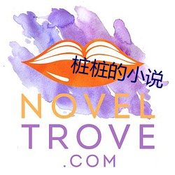 桩桩的小说
