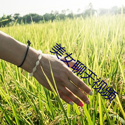 凯时|AG(AsiaGaming)优质运营商