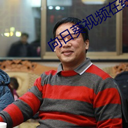 向日葵视频在线观看免费 （论坛