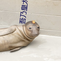吾乃皇太子