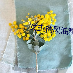 女主播风油精