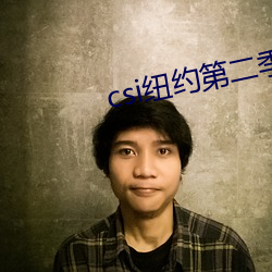 csi纽约第二季 （无辜）