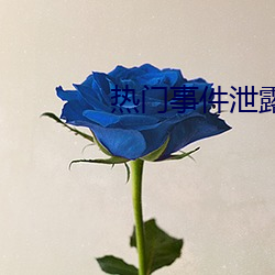 凯时|AG(AsiaGaming)优质运营商