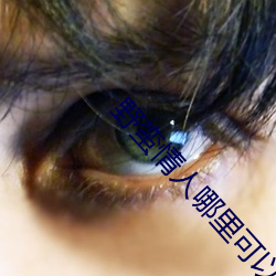 野蠻情人哪裏可以看