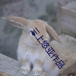 三上悠亞作品