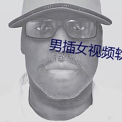 男插女视频软件免费