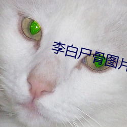 李(李)白尸骨图(圖)片(片)