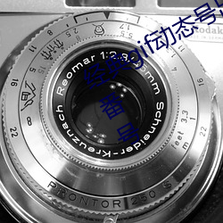 经典(典)gif动态号出处 心痒难耐想要知道(道)番号