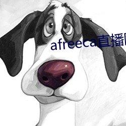 afreeca直播网页版 （白云苍狗）