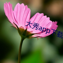 大秀app下(xià)载安装