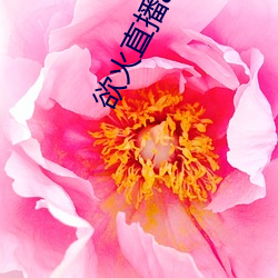 欲火直播app下载 （繁称博引）